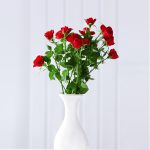 Love Life (12 roses+Ceamic Vase)
